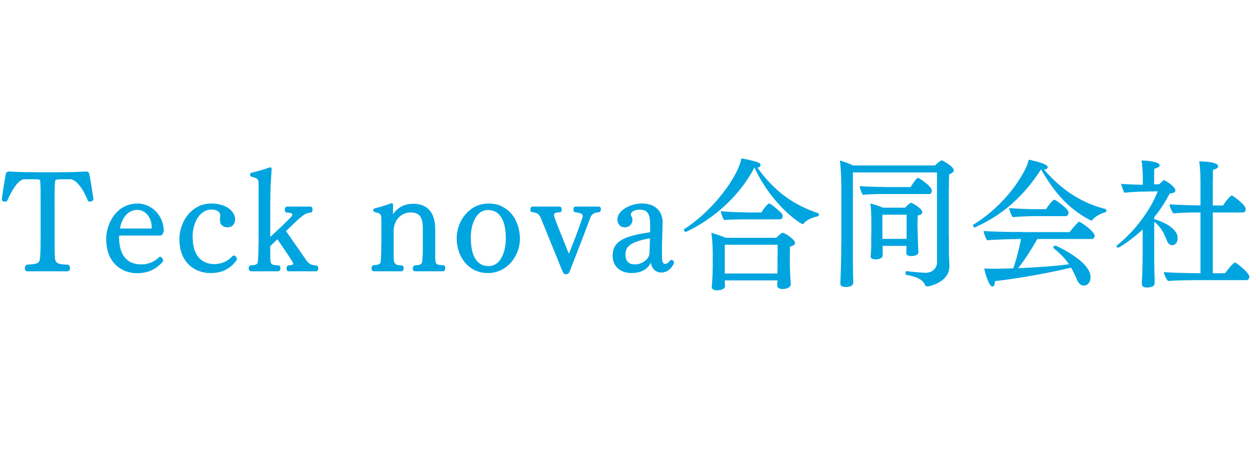 Teck nova合同会社